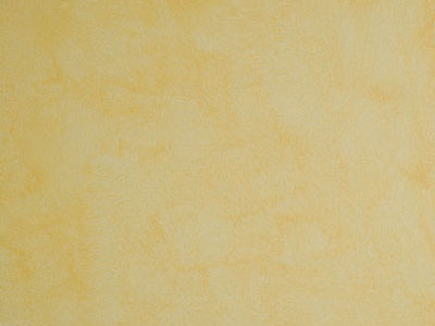 Матовая краска с акварельным эффектом Oikos Veldecor (Велдекор) в цвете VD2210