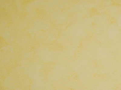 Матовая краска с акварельным эффектом Oikos Veldecor (Велдекор) в цвете VD2310