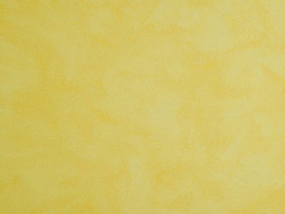 Матовая краска с акварельным эффектом Oikos Veldecor (Велдекор) в цвете VD2400