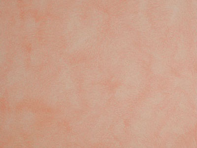 Матовая краска с акварельным эффектом Oikos Veldecor (Велдекор) в цвете VD2620