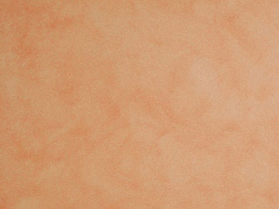 Матовая краска с акварельным эффектом Oikos Veldecor (Велдекор) в цвете VD2710