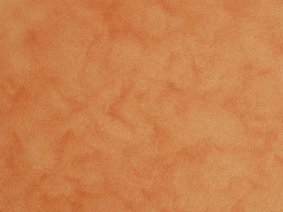 Матовая краска с акварельным эффектом Oikos Veldecor (Велдекор) в цвете VD2800