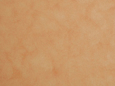 Матовая краска с акварельным эффектом Oikos Veldecor (Велдекор) в цвете VD2810