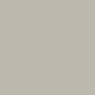 Wall & Ceiling 061A