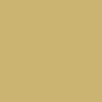 Wall & Ceiling 096C