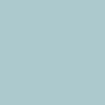 Wall & Ceiling 109A