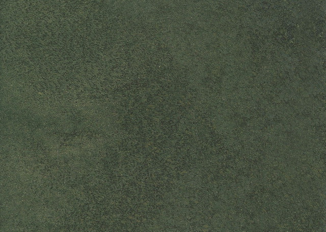Klondike (Клондайк) в цвете 453A_G100 - краска с тёмными флоками от Valpaint